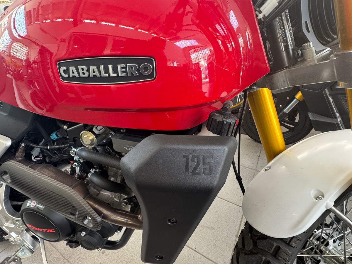 Fantic Motor Caballero 125 Scrambler